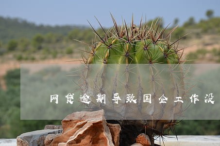 网贷逾期导致国企工作没有了 网贷逾期导致国企工作没有了