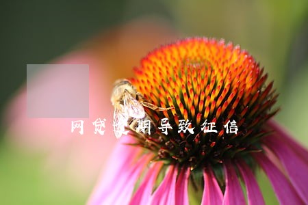 网贷逾期导致征信 网贷逾期导致征信