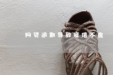 网贷逾期导致征信不良 网贷逾期导致征信不良