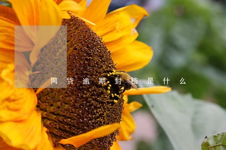网贷逾期封档是什么 网贷逾期封档是什么