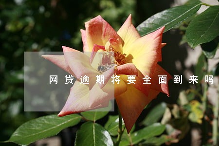 网贷逾期将要全面到来吗