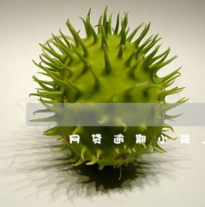 网贷逾期小孩上公立幼儿园 网贷逾期小孩上公立幼儿园
