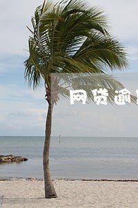 网贷逾期小孩上学 网贷逾期小孩上学