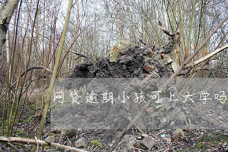网贷逾期小孩可上大学吗 网贷逾期小孩可上大学吗