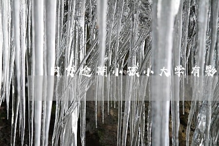 网贷逾期小孩小大学有影响吗 网贷逾期小孩小大学有影响吗