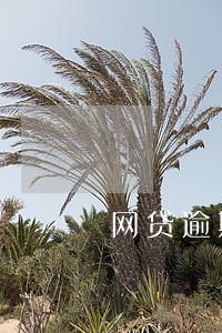 网贷逾期小孩考大学影响吗 网贷逾期小孩考大学影响吗