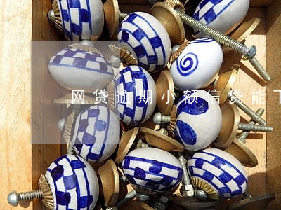 网贷逾期小额信贷能下么 网贷逾期小额信贷能下么