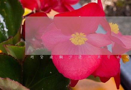 网贷逾期少还一点可以吗 网贷逾期少还一点可以吗