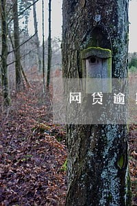 网贷逾期少部分还款