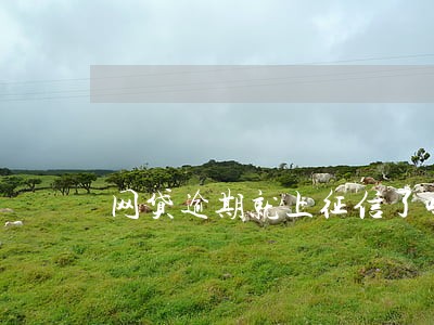 网贷逾期就上征信了吗 网贷逾期就上征信了吗