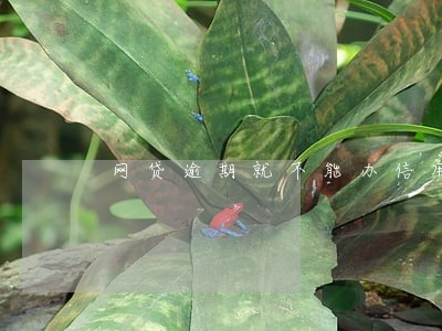 网贷逾期就不能办信用卡吗 网贷逾期就不能办信用卡吗