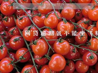 网贷逾期就不能坐飞机吗 网贷逾期就不能坐飞机吗
