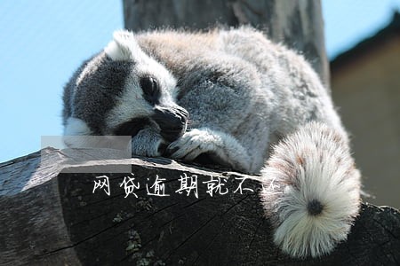 网贷逾期就不还