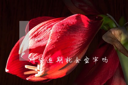 网贷逾期就会坐牢吗 网贷逾期就会坐牢吗