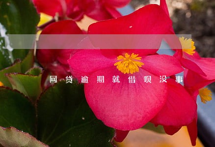 网贷逾期就借呗没事 网贷逾期就借呗没事