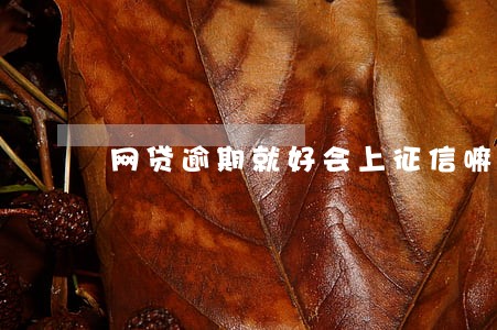 网贷逾期就好会上征信嘛 网贷逾期就好会上征信嘛