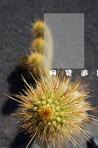 网贷逾期就是失信被执行人吗 网贷逾期就是失信被执行人吗
