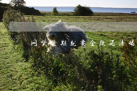 网贷逾期就要全款还清吗 网贷逾期就要全款还清吗