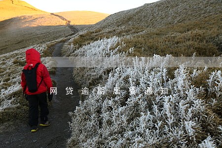 网贷逾期居委通知