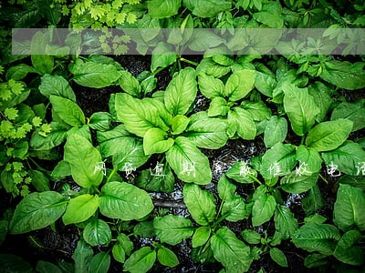 网贷逾期屏蔽催收电话