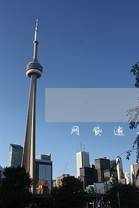网贷逾期属于分期诈骗吗