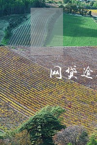 网贷逾期属于哪一类 网贷逾期属于哪一类