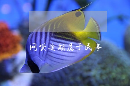 网贷逾期属于民事 网贷逾期属于民事