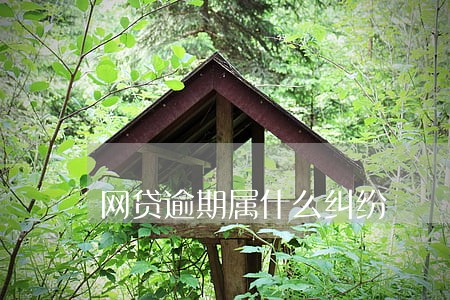 网贷逾期属什么纠纷 网贷逾期属什么纠纷