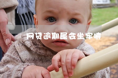 网贷逾期属会坐牢嘛 网贷逾期属会坐牢嘛