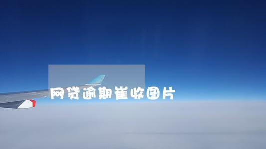 网贷逾期崔收图片