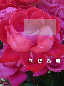 网贷逾期工作不好找 网贷逾期工作不好找
