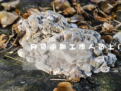 网贷逾期工作人员上门合法吗 网贷逾期工作人员上门合法吗