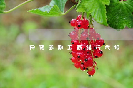 网贷逾期工商银行代扣 网贷逾期工商银行代扣