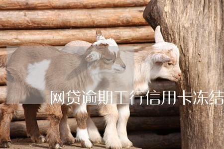网贷逾期工行信用卡冻结