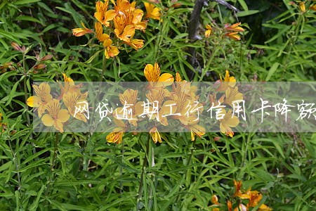 网贷逾期工行信用卡降额