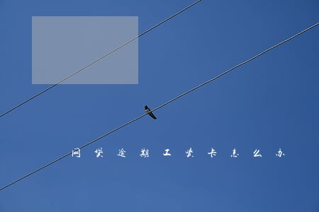网贷逾期工资卡怎么办