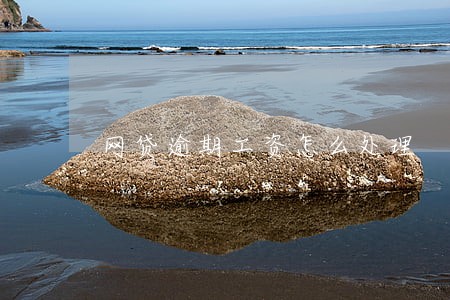 网贷逾期工资怎么处理