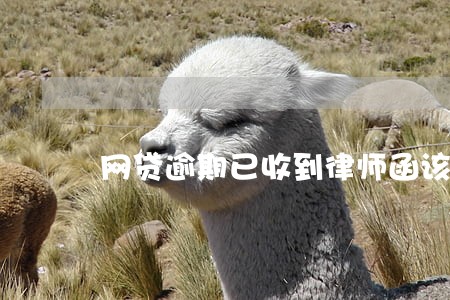 网贷逾期已收到律师函该怎么解决 网贷逾期已收到律师函该怎么解决
