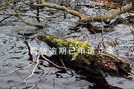 网贷逾期已申请立案