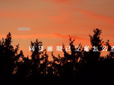 网贷逾期已立案怎么查 网贷逾期已立案怎么查