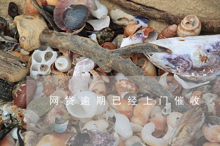 网贷逾期已经上门催收 网贷逾期已经上门催收