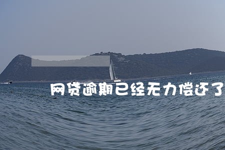 网贷逾期已经无力偿还了 网贷逾期已经无力偿还了
