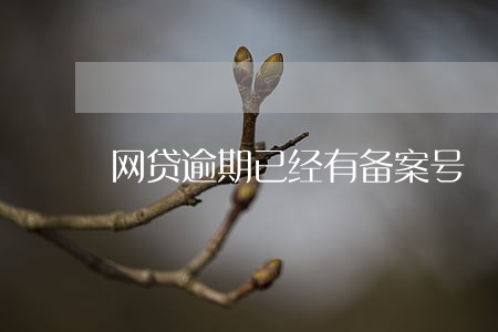 网贷逾期已经有备案号 网贷逾期已经有备案号
