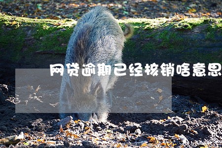 网贷逾期已经核销啥意思 网贷逾期已经核销啥意思
