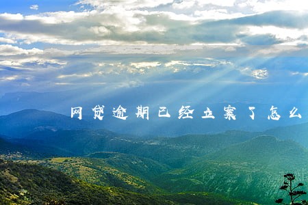 网贷逾期已经立案了怎么办 网贷逾期已经立案了怎么办