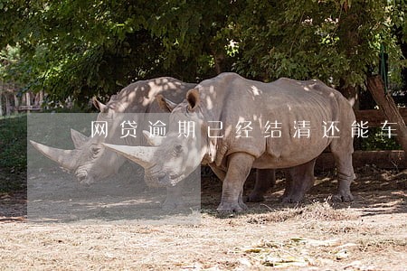网贷逾期已经结清还能车贷吗 网贷逾期已经结清还能车贷吗