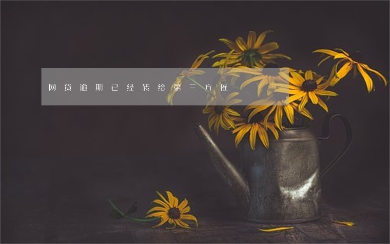网贷逾期已经转给第三方催 网贷逾期已经转给第三方催