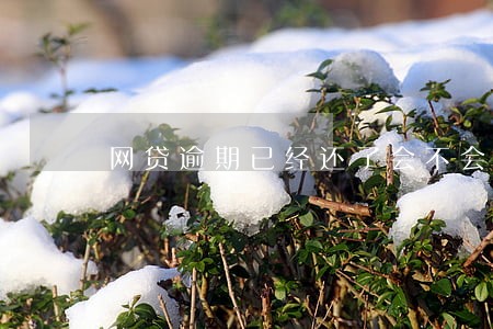 网贷逾期已经还了会不会被起诉 网贷逾期已经还了会不会被起诉