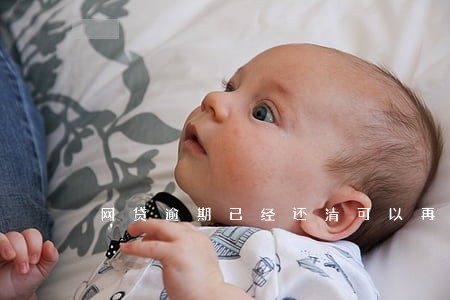 网贷逾期已经还清可以再借吗 网贷逾期已经还清可以再借吗