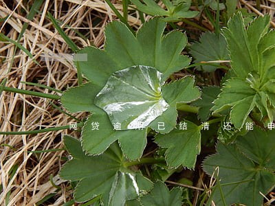 网贷逾期已结清还能申请房贷吗 网贷逾期已结清还能申请房贷吗